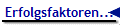 Erfolgsfaktoren...